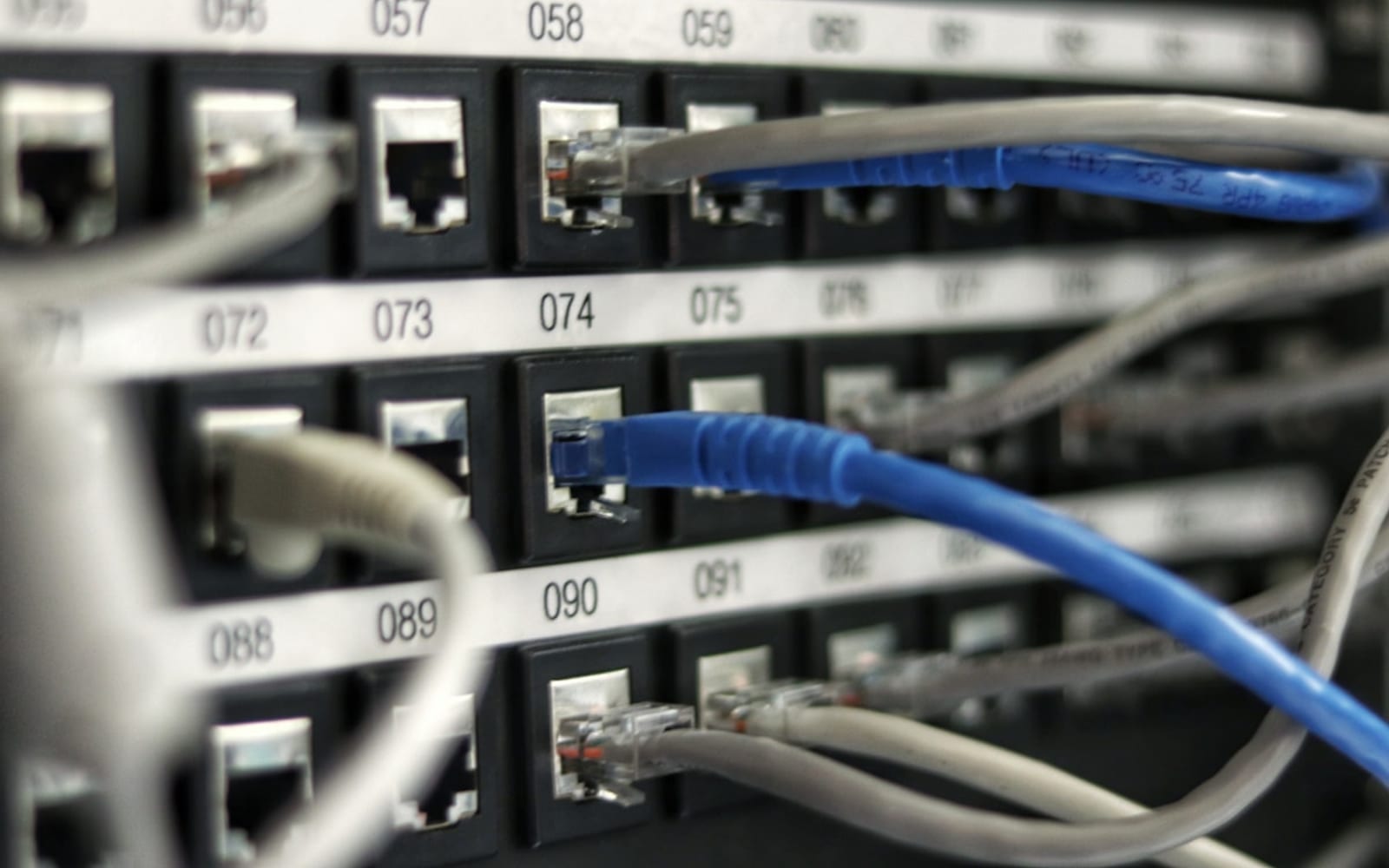 Network switch with cabling — SD-WAN branch networking